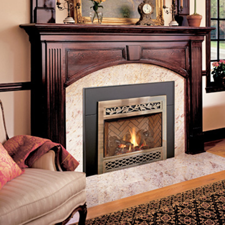 Fireplace Insert